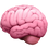 :brain: