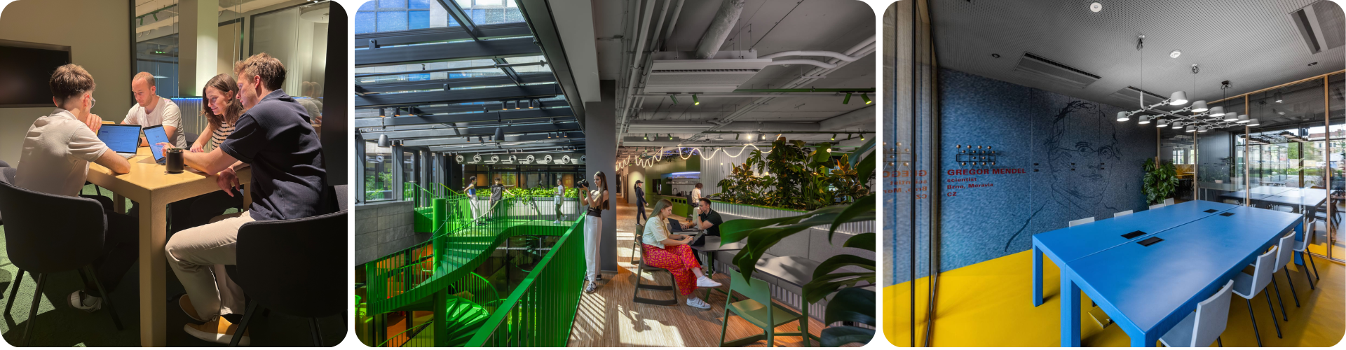 Jak to vypadá v Performind