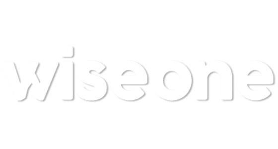 Wiseone data technologies